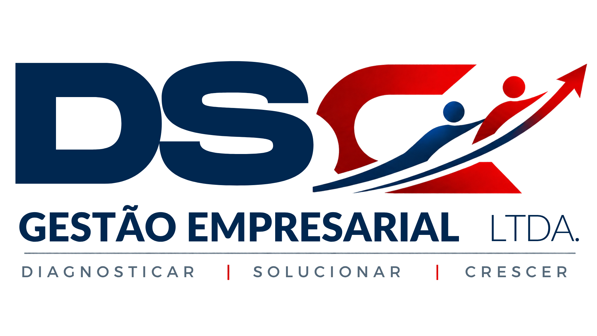 DSC Gestão